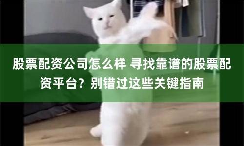 股票配资公司怎么样 寻找靠谱的股票配资平台？别错过这些关键指南