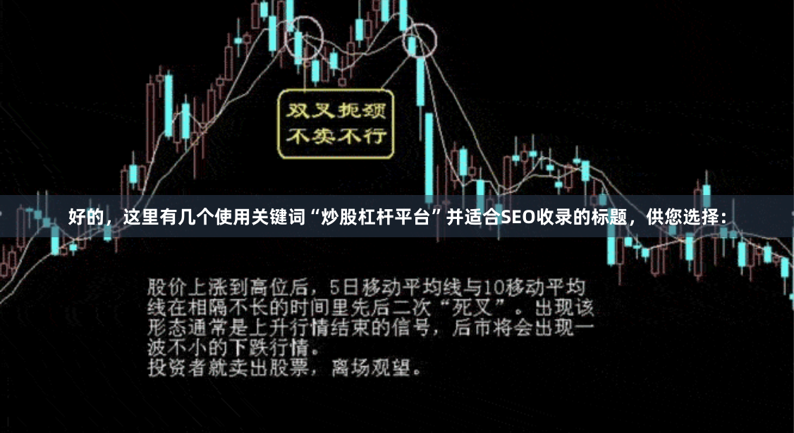 好的，这里有几个使用关键词“炒股杠杆平台”并适合SEO收录的标题，供您选择：
